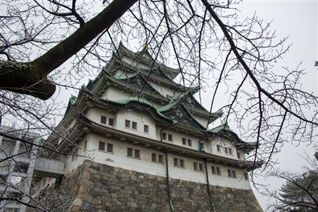 名古屋城の雪景色(22)