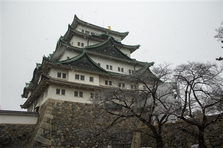 名古屋城の雪景色(24)