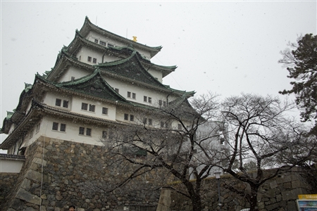 名古屋城の雪景色(25)