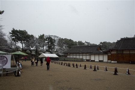名古屋城の雪景色(26)