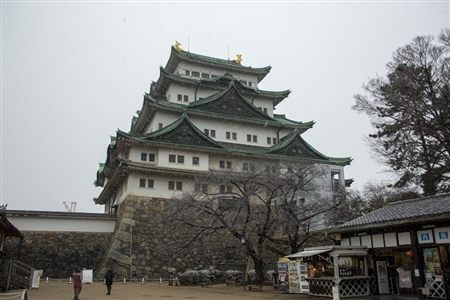 名古屋城の雪景色(27)