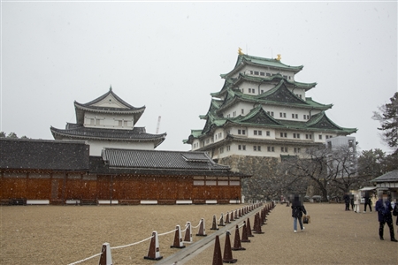 名古屋城の雪景色(29)