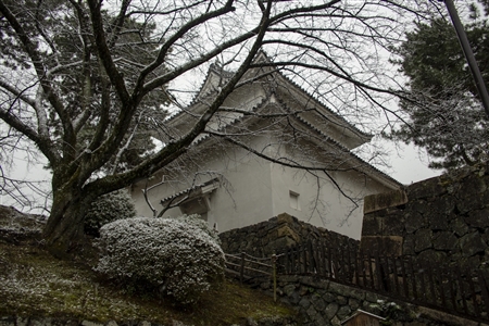 名古屋城の雪景色(30)
