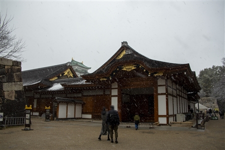 名古屋城の雪景色(31)