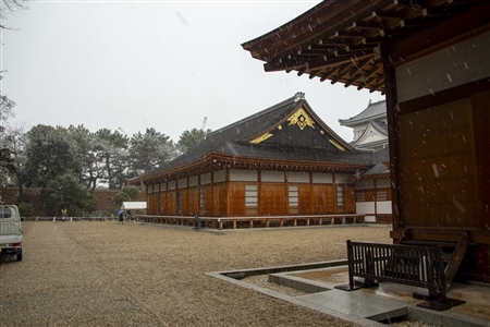 名古屋城の雪景色(32)