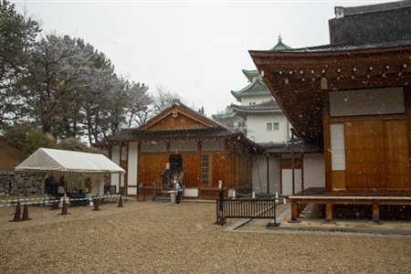 名古屋城の雪景色(33)