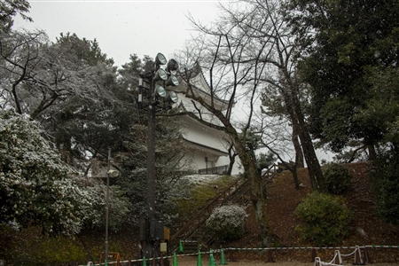 名古屋城の雪景色(34)