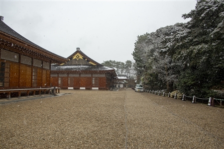 名古屋城の雪景色(35)