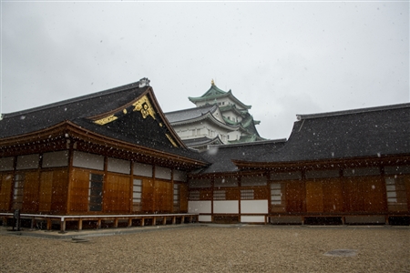 名古屋城の雪景色(37)