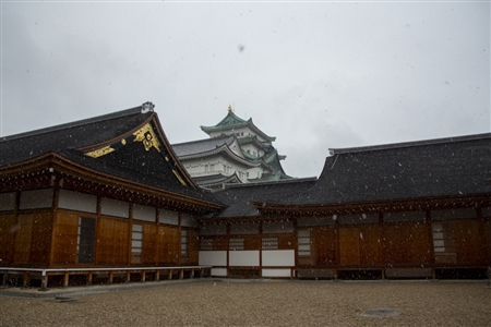 名古屋城の雪景色(38)