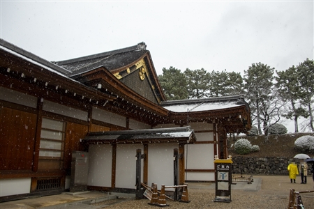 名古屋城の雪景色(39)