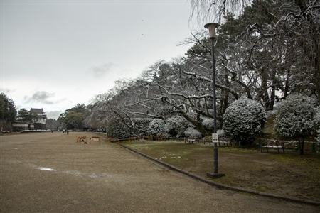 名古屋城の雪景色(4)
