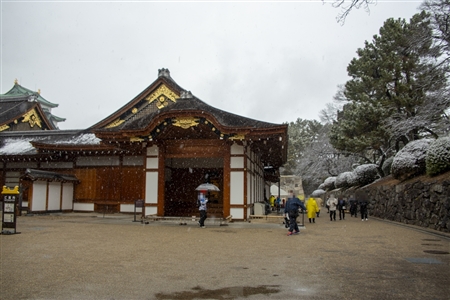 名古屋城の雪景色(41)