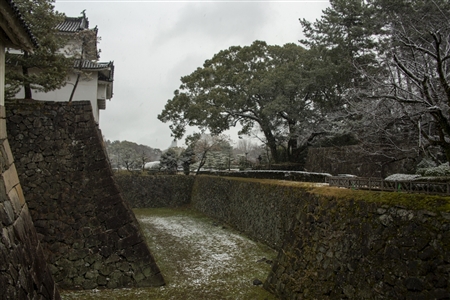 名古屋城の雪景色(42)