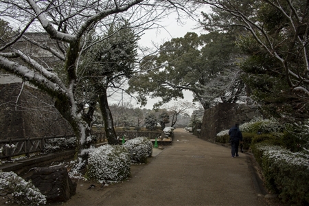 名古屋城の雪景色(43)