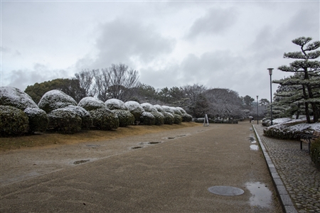 名古屋城の雪景色(45)