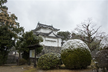 名古屋城の雪景色(46)