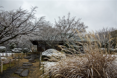 名古屋城の雪景色(52)