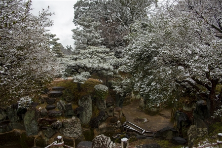 名古屋城の雪景色(54)