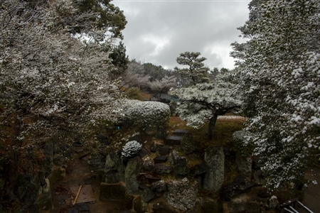 名古屋城の雪景色(55)