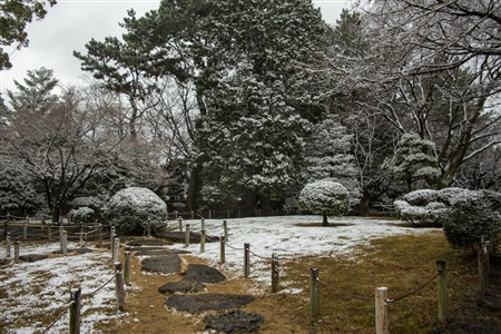 名古屋城の雪景色(56)