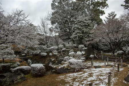 名古屋城の雪景色(57)