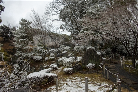 名古屋城の雪景色(61)
