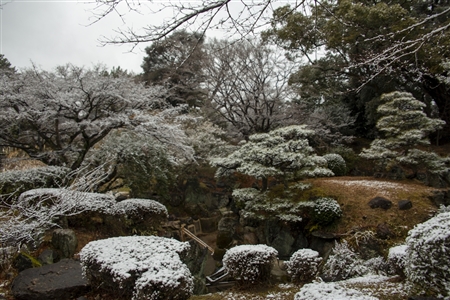 名古屋城の雪景色(62)