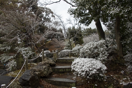 名古屋城の雪景色(63)