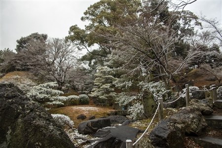 名古屋城の雪景色(64)