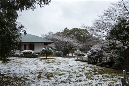 名古屋城の雪景色(65)