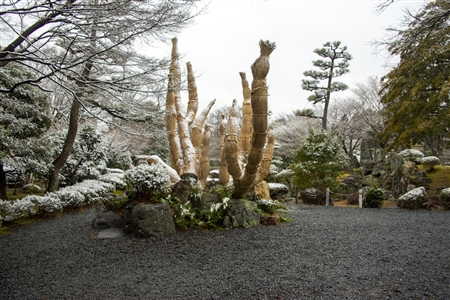 名古屋城の雪景色(66)