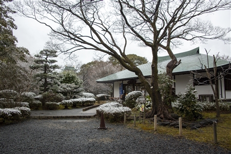 名古屋城の雪景色(67)