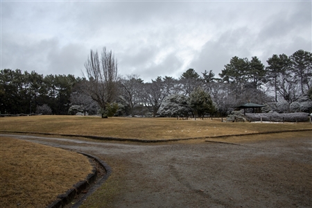 名古屋城の雪景色(68)