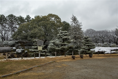 名古屋城の雪景色(69)