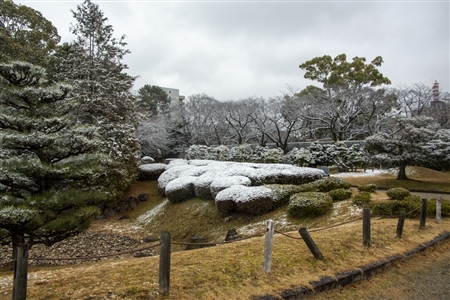 名古屋城の雪景色(72)
