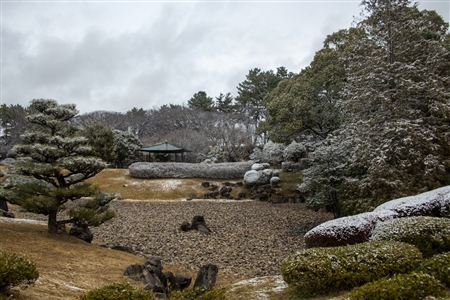 名古屋城の雪景色(73)
