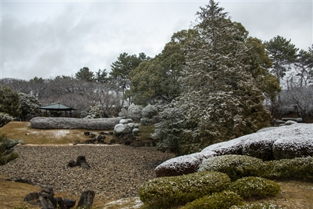 名古屋城の雪景色(74)