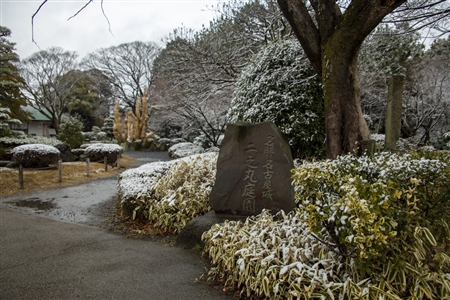 名古屋城の雪景色(79)
