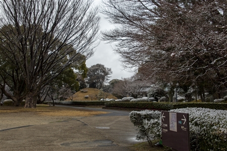 名古屋城の雪景色(81)