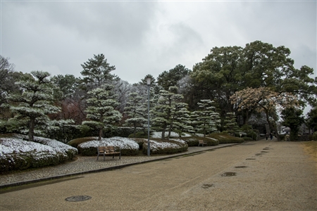 名古屋城の雪景色(82)