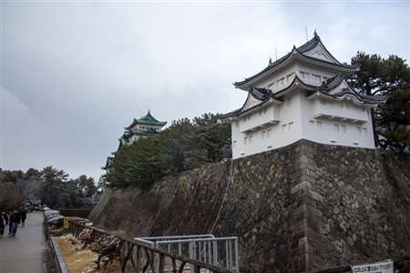 名古屋城の雪景色(87)