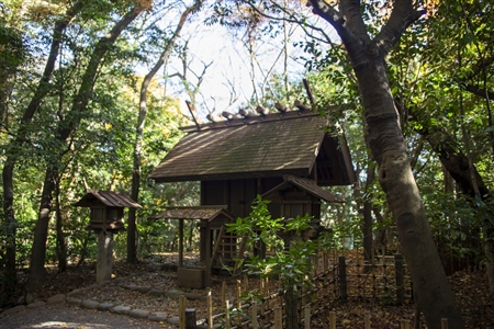 Atsuta Shrine(118)
