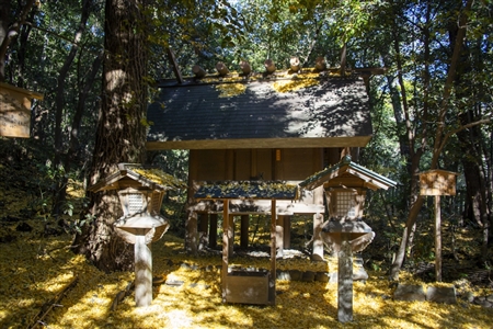 Atsuta Shrine(132)