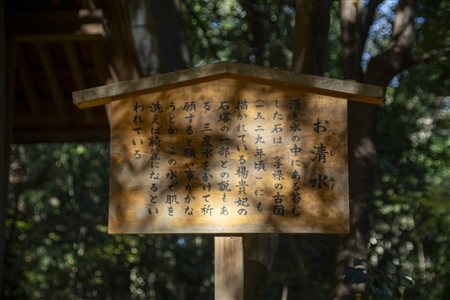 Atsuta Shrine(135)
