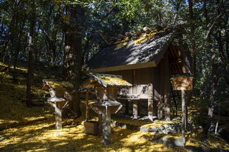 Atsuta Shrine(136)