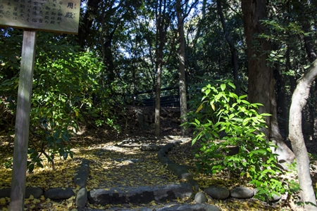 Atsuta Shrine(148)