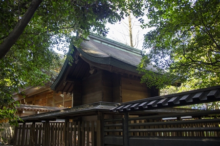 Atsuta Shrine(150)