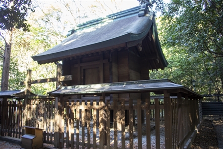 Atsuta Shrine(153)