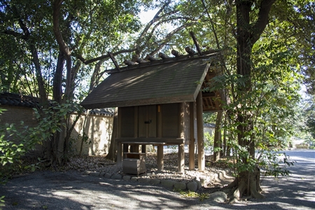 Atsuta Shrine(164)